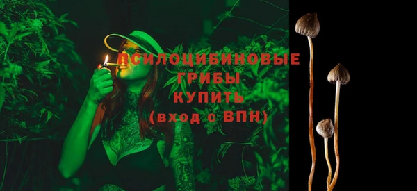 MDMA Заводоуковск
