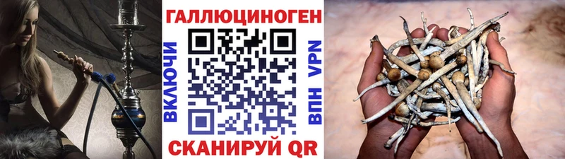Галлюциногенные грибы GOLDEN TEACHER  blacksprut ссылка  Липки 